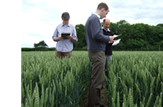 Field trials